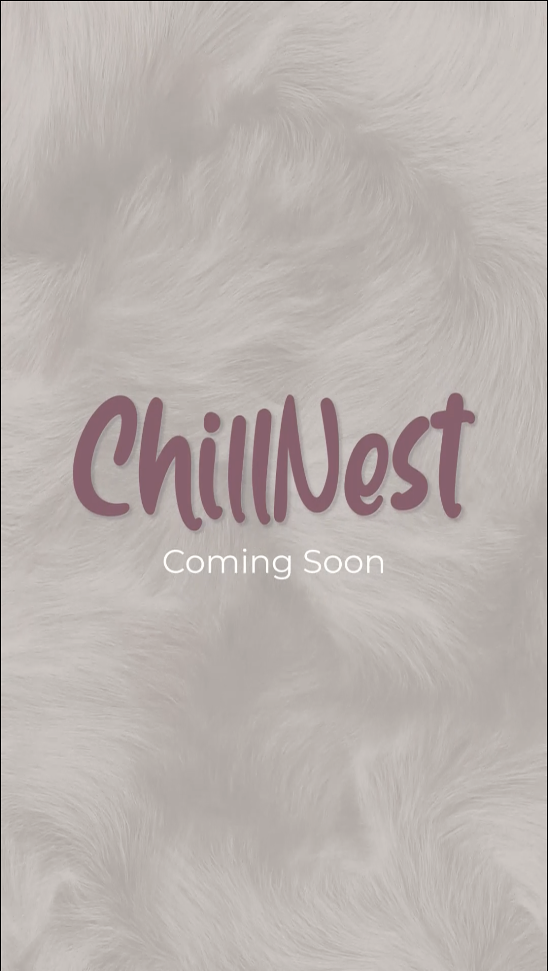 ChillNest Logo Reveal